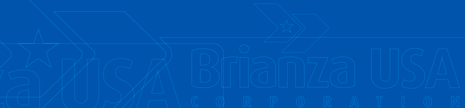 Brianza USA corporation logo texture outline pattern